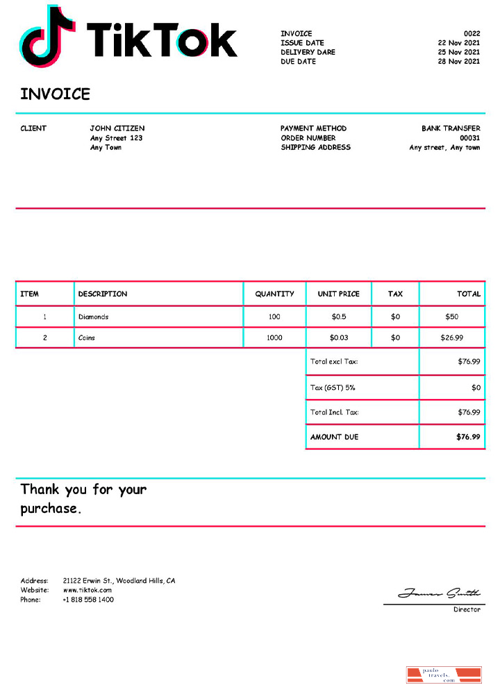 USA Tik Tok invoice PSD template